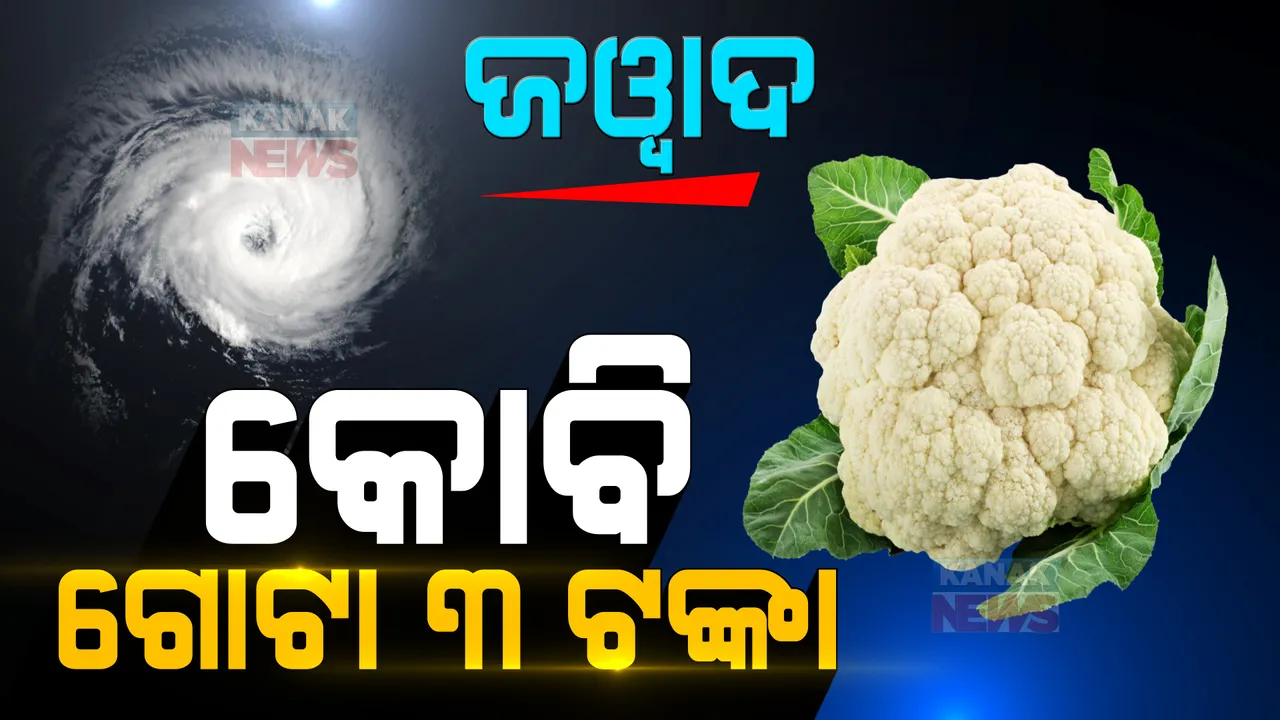  ବାତ୍ୟା ଆସିବା ଆଗରୁ ଚାଷୀ ମନରେ ଛନକା: ନଷ୍ଟ ହେବା ଆଶଙ୍କାରେ କୋବି ଗୋଟାକୁ ୩ ଟଙ୍କାରେ ବିକି ଦେଲେ ପିପିଲି ଚାଷୀ