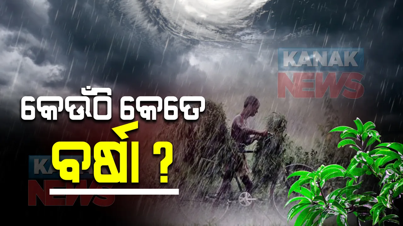  ଗତ ୨୪ ଘଂଟାରେ ରାଜ୍ୟରେ ବର୍ଷା : ଜାଣନ୍ତୁ କେଉଁଠି କେତେ ରେକର୍ଡ ହୋଇଛି ବର୍ଷା ?