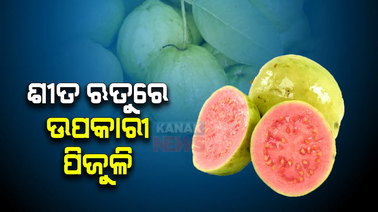  ଶୀତ ଋତୁରେ ପିଜୁଳି । ଚର୍ମ ପାଇଁ ସୁରକ୍ଷା କବଚ ।