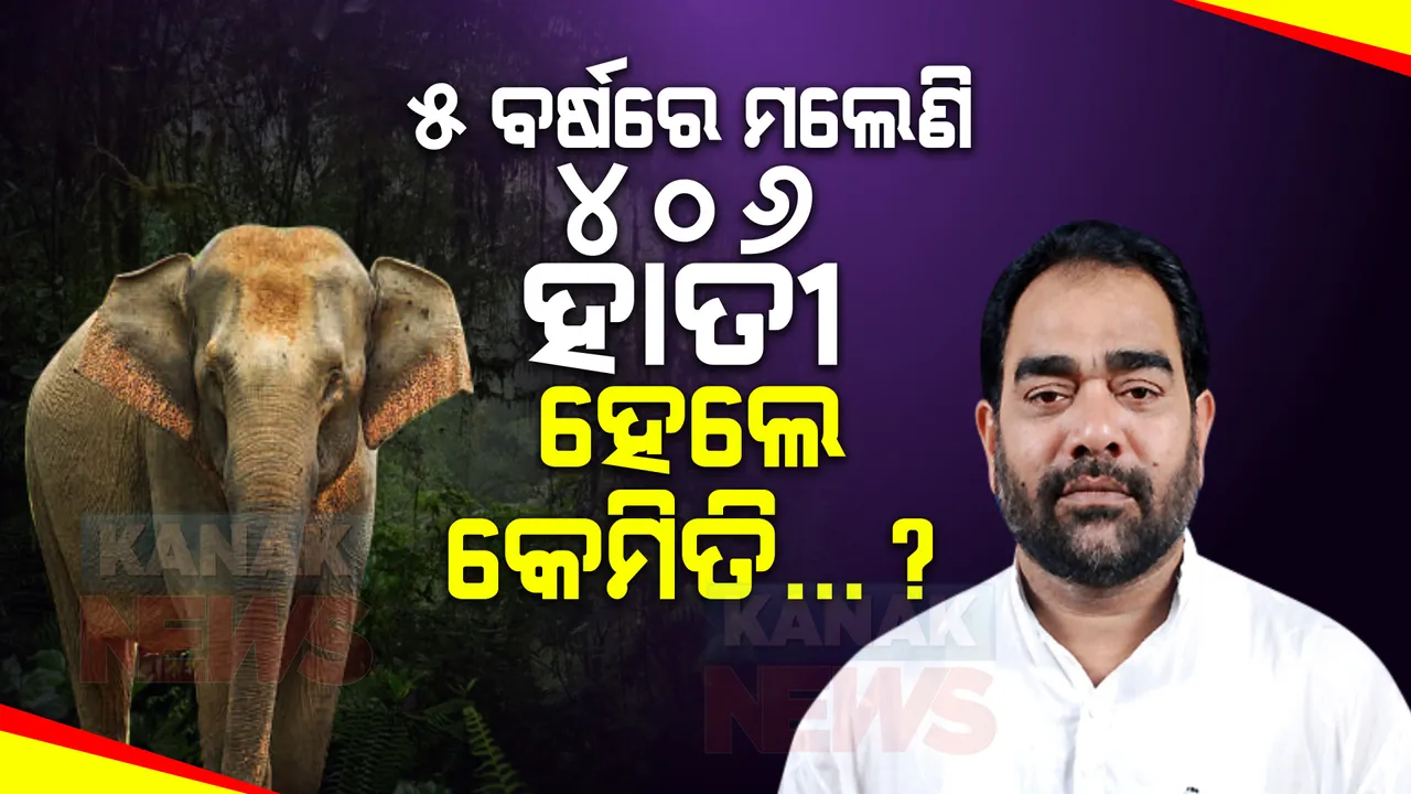  ରାଜ୍ୟରେ ୨୦୧୬-୨୧ ମଧ୍ୟରେ ୪୦୬ ଗଜରାଜଙ୍କ ମୃତ୍ୟୁ : ହେଲେ କେମିତି...ଗୃହରେ ଉତ୍ତର ରଖିଲେ ଜଙ୍ଗଲ ଓ ପରିବେଶ ମନ୍ତ୍ରୀ