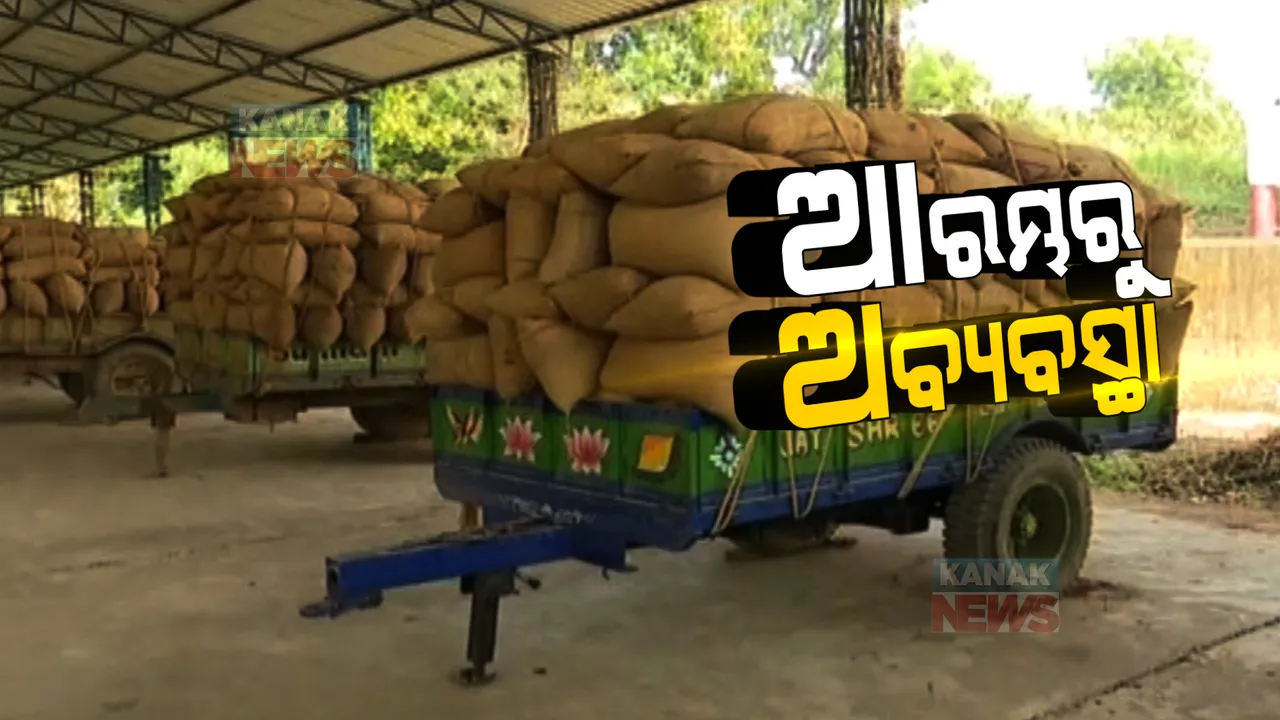  ସମ୍ବଲପୁରରେ ମଣ୍ଡି ଆରମ୍ଭରୁ ଅବ୍ୟବସ୍ଥା: କଟନି ଛଟନି ପ୍ରତିବାଦରେ ଆନ୍ଦୋଳନ ମୁହାଁ ଚାଷୀ
