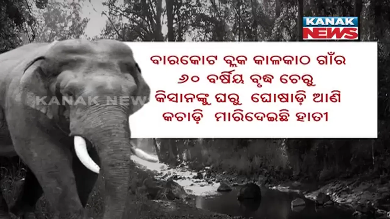  ଦେବଗଡ଼ରେ ହାତୀଙ୍କ ଉପଦ୍ରବ । ସପ୍ତାହ ମଧ୍ୟରେ ହାତୀ ଆକ୍ରମଣରେ ଗଲାଣି ୨ ଜୀବନ ।