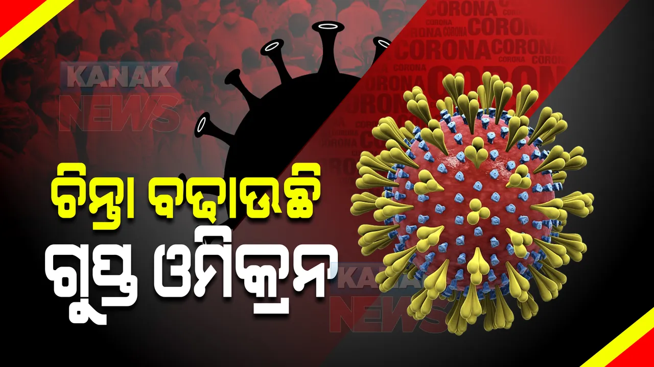  ଚିନ୍ତା ବଢାଉଛି ଗୁପ୍ତ ଓମିକ୍ରନ ବିଏ-୨ । ବିଶ୍ୱରେ ଆଣିପାରେ ବଡ ଲହର