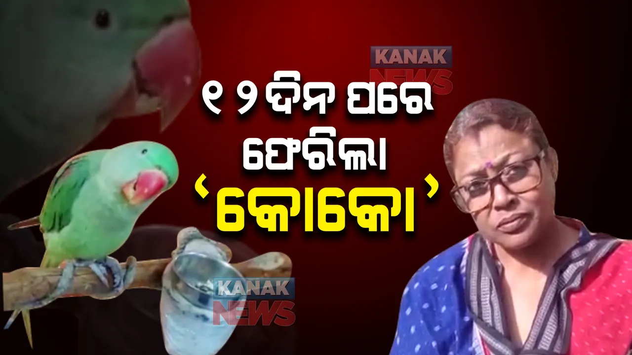  ୧୨ ଦିନ ପରେ ଘରକୁ ଫେରିଲା ଶୁଆ 'କୋକୋ' : କଟକ ତୁଳସୀପୁର ନିକଟରୁ ନିଖୋଜ ପରେ ଭୁବନେଶ୍ୱରରୁ ଉଦ୍ଧାର