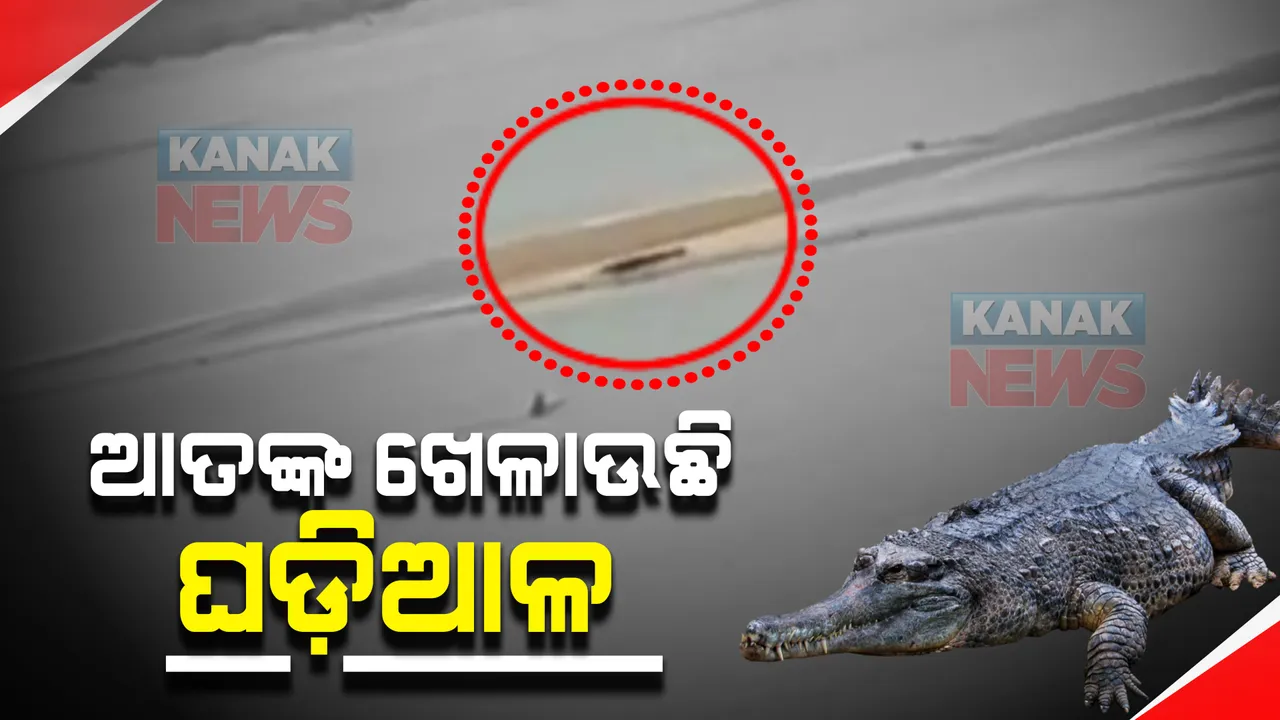  ନାକେଦମ୍ କଲାଣି ଘଡ଼ିଆଳ କୁମ୍ଭୀର : କାବୁ କରିବାକୁ ନନ୍ଦନକାନନ ଟିମ୍ ଓ ଖୁଂଟୁଣି ରେଂଜ ପକ୍ଷରୁ ସ୍ୱତନ୍ତ୍ର ଅପରେସନ
