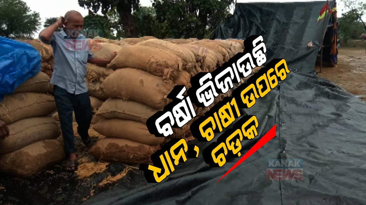  ପୁଣି ଅଦିନିଆ ବର୍ଷା ଚାଷୀଙ୍କୁ କଲା କଲବଲ । ବର୍ଷା ଓ କୁଆପଥର ମାଡରେ ନଷ୍ଟ ହୋଇଗଲା ଫସଲ ।