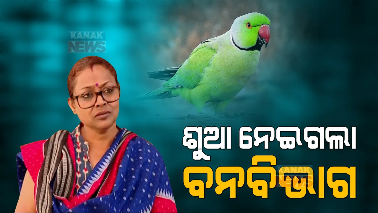  ଆଇନ ବୁଝିଲାନି ସ୍ନେହ, ମମତା ! ମଣିଷ-ପକ୍ଷୀ ସମ୍ପର୍କରେ ସାଜିଲା ବାଧକ । ସସ୍ମିତାଙ୍କ କୋଳରୁ ଶୁଆ ନେଇଗଲା ବନବିଭାଗ । 