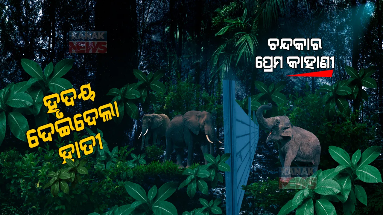  ଚନ୍ଦକାରେ ମନ ଚୋରି ହେଲା, ହୀରା ପାଖରେ ହୃଦୟ ହଜିଲା । ପ୍ରଥମ ଦେଖାରେ ନନ୍ଦନକାନନ ପ୍ରେମିକାକୁ ଦିଲ୍ ଦେଇଦେଲେ ଦୁଇ ଦନ୍ତା...