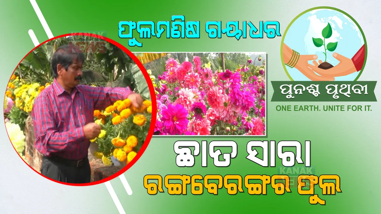  ଖାଲି ଫୁଲ ଆଉ ଫୁଲ... ମାଟିର ଛାତିରେ ନୁହେଁ ଛାତ ଉପରେ ଫୁଲବଗିଚା । ହସୁଛି ୧୦୦ ପ୍ରକାରର ଫୁଲ ।