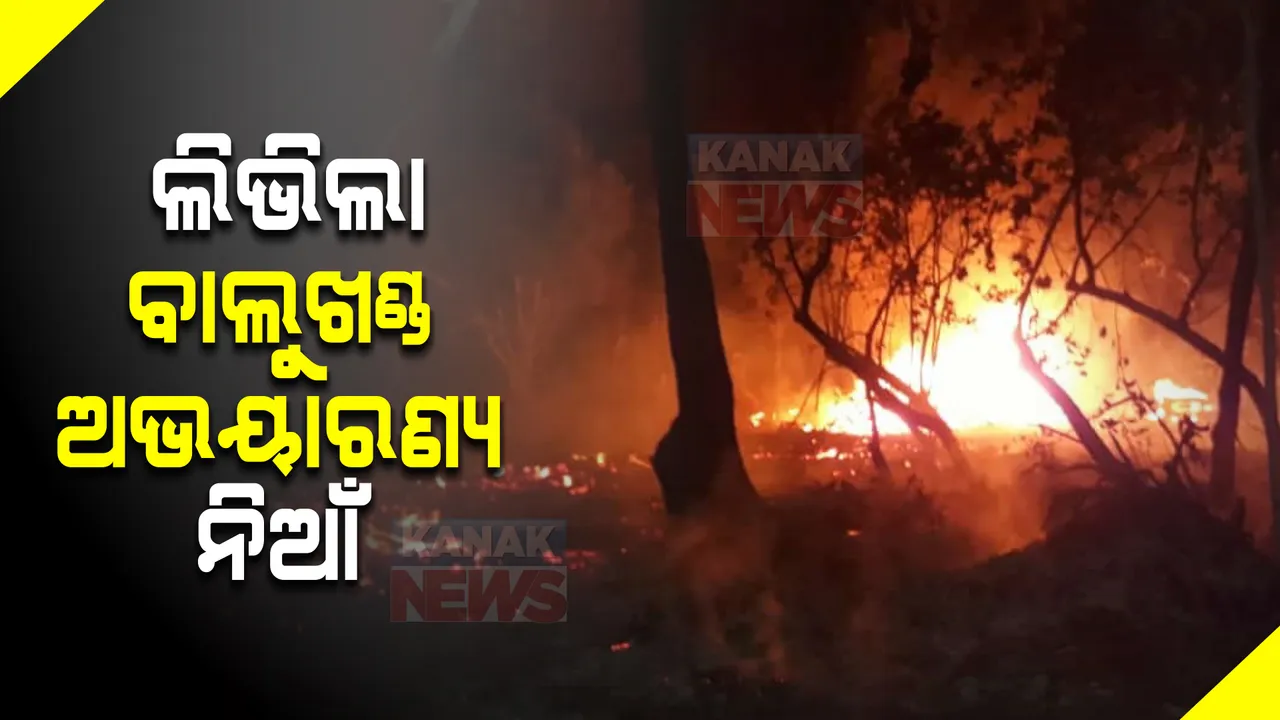  କାବୁ ହେଲା ବାଲୁଖଣ୍ଡ ଅଭୟାରଣ୍ୟରେ ଲାଗିଥିବା ନିଆଁ । ସ୍ଥାନୀୟ ଲୋକଙ୍କ ସହାୟତାରେ ବନବିଭାଗର କର୍ମଚାରୀ ନିଆଁକୁ କଲେ ଆୟତ