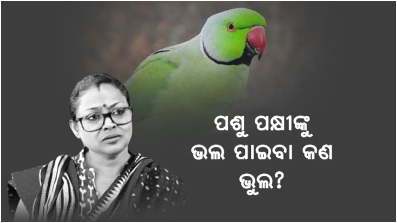  ‘କୋକୋ’କୁ ନେଇ ଆସିଲା ନୂଆ ଟ୍ୱିଷ୍ଟ: ପାଳନକାରୀଙ୍କୁ ଫେରାଇ ଦେବାକୁ ଉଠିଲା ଦାବି