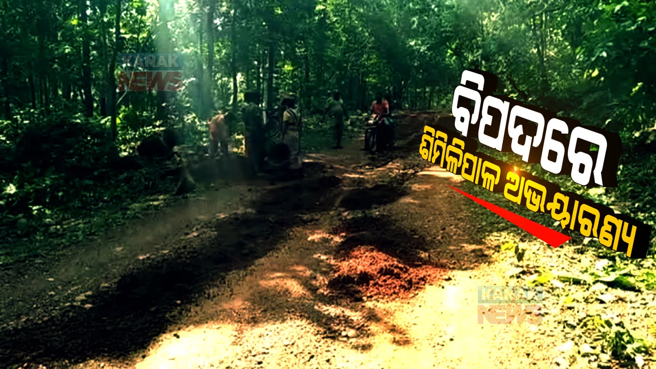  ବିପଦରେ ଶିମିଳିପାଳ ଅଭୟାରଣ୍ୟ । ଅବକ୍ଷୟ ମୁହାଁ କରୁଛି ଚାଲିଥିବା ମୋରମ ଖାଦାନ, ମୂଲ୍ୟବାନ ଗଛ ନଷ୍ଟ ହେବା ସମ୍ଭାବନା ।