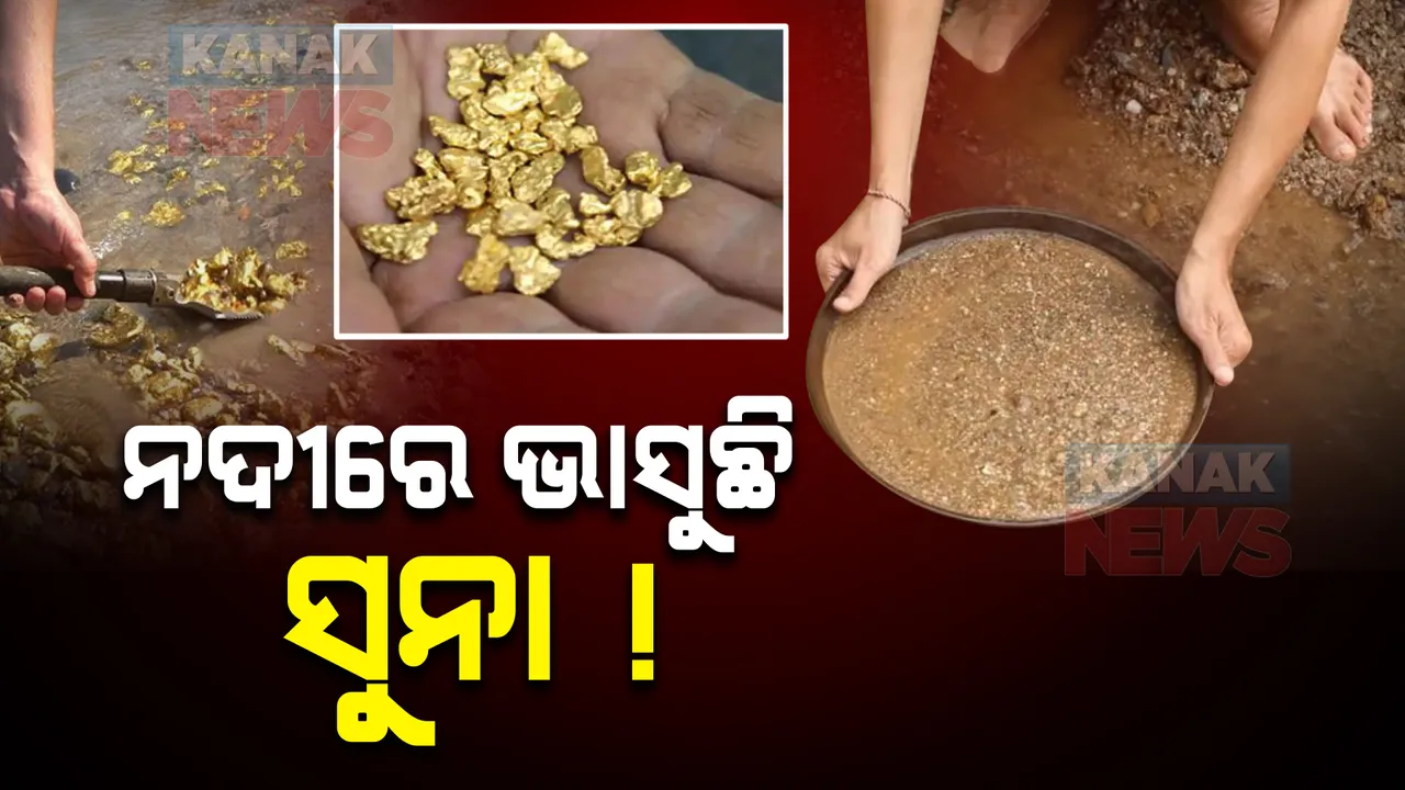  ନଦୀରେ ଭାସୁଛି ସୁନା ! ସକାଳୁ ଉଠି ସୁନା ଛାଣିବାରେ ଲାଗନ୍ତି ଏଠାକାର ଲୋକେ, ଓଡିଶାରେ ବି ବହୁଛି ଏହି ନଦୀ