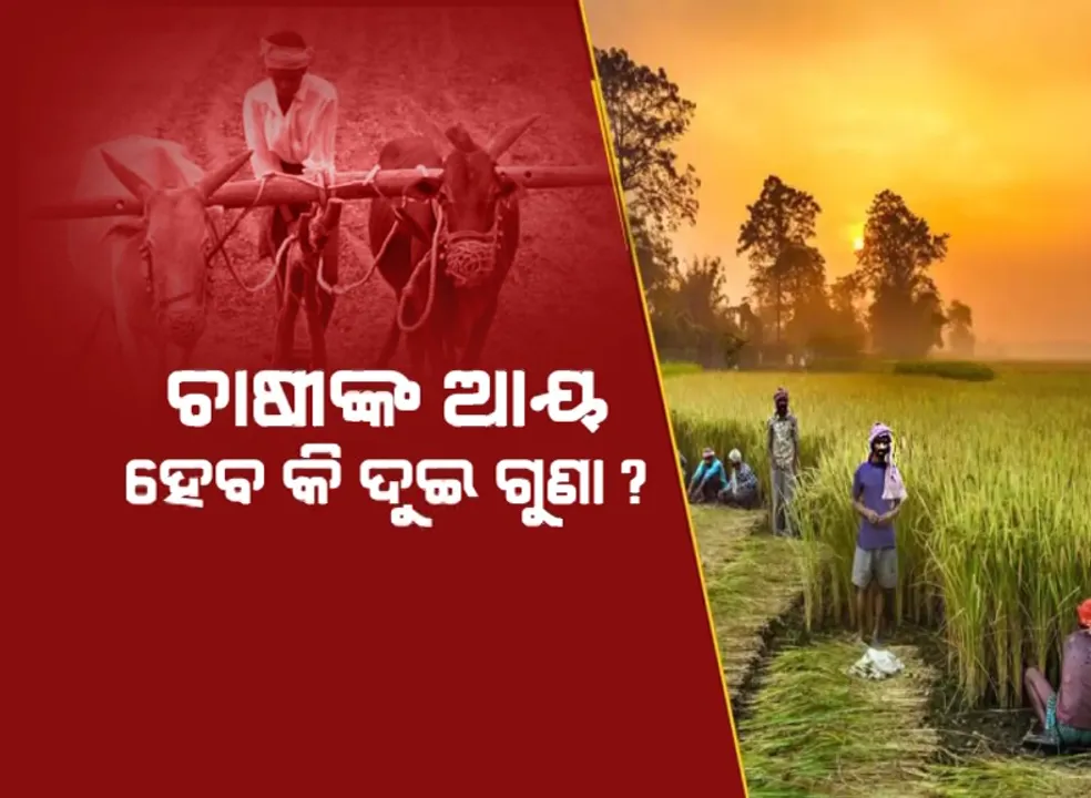  ଚାଷୀଙ୍କ ଆୟ ହେବ କି ଦୁଇ ଗୁଣା ? କେବେ ସୁଧୁରିବ ଚାଷୀଙ୍କ ସମସ୍ୟା ?