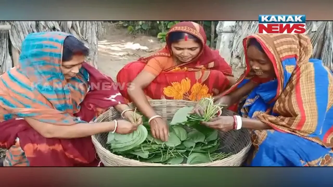  ପାନ ଚାଷ କରି ସ୍ୱାବଲମ୍ବୀ ହେଉଛନ୍ତି ଏସଏଚଜି ମହିଳା । ଓଡ଼ିଶା ଜୀବିକା ମିଶନରୁ ୫୦ ହଜାର ଟଙ୍କାର ଋଣ ଆଣି କରୁଛନ୍ତିି ପାନ ଚାଷ 