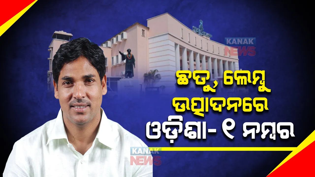  ଛତୁ ଓ ଲେମ୍ବୁ ଉତ୍ପାଦନରେ ଓଡ଼ିଶା ୧ ନମ୍ବର