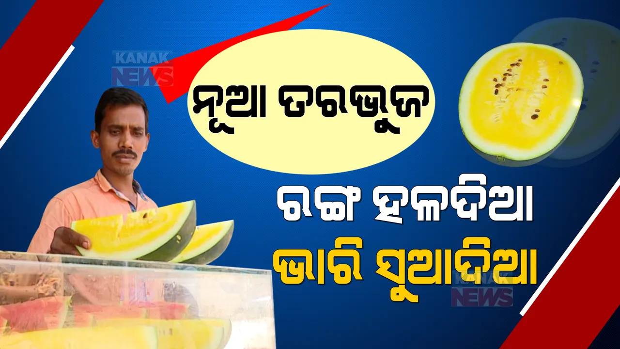  ରାଜଧାନୀ ବଜାରରେ ନୂଆ ରଙ୍ଗର ତରଭୁଜ: ହଳଦିଆ ରଙ୍ଗର ତରଭୁଜ ଖାଇବା ପାଇଁ ଜମୁଛି ଭିଡ