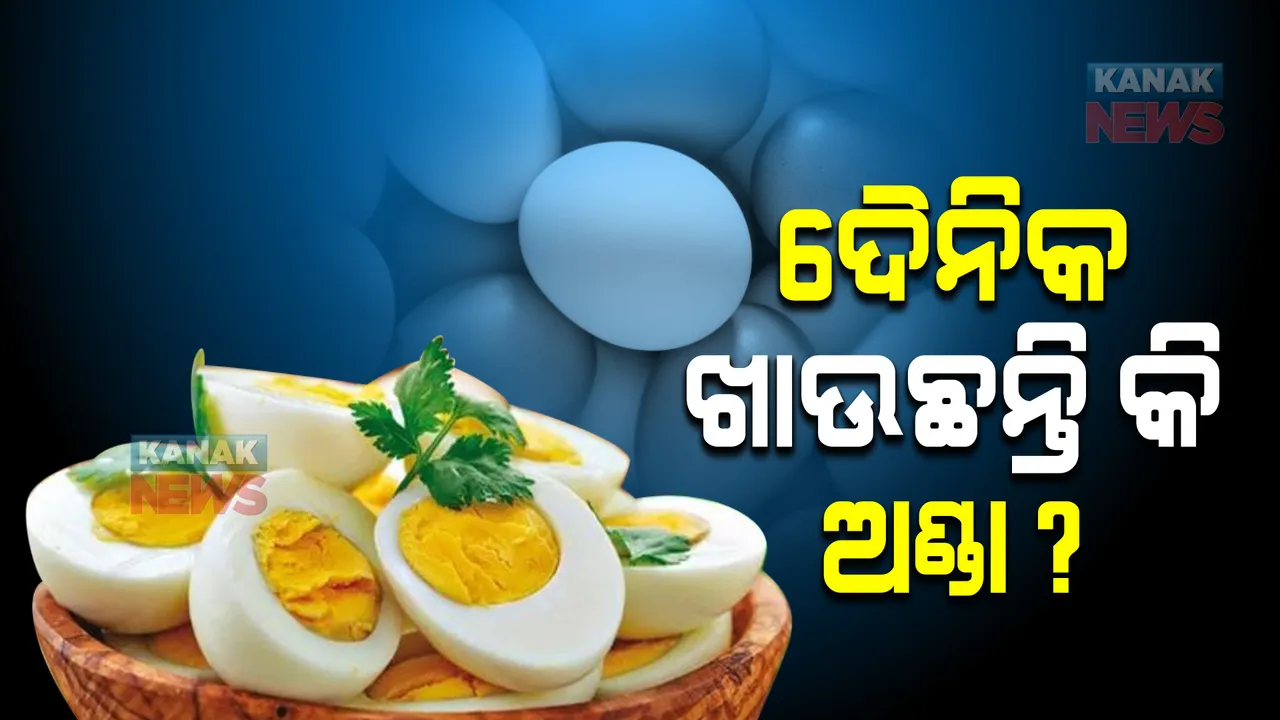  ଦୈନିକ ଅଣ୍ଡା ଖାଉଥିଲେ ହୋଇଯାନ୍ତୁ ସାବଧାନ, ହୋଇପାରେ ଏହି ଗମ୍ଭୀର ରୋଗ
