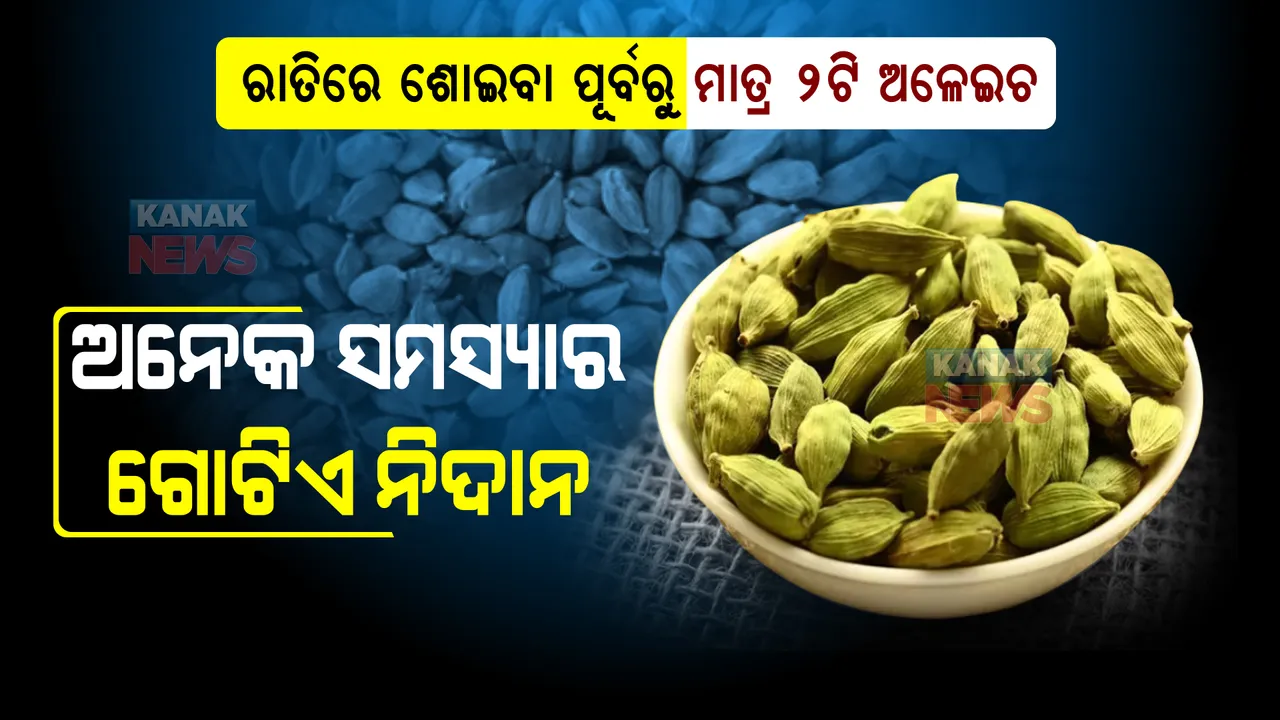  ଅଳେଇଚକୁ ଏପରି ସେବନ କରନ୍ତୁ । ଦୂରେଇ ଯିବ ଅନେକ ସ୍ୱାସ୍ଥ୍ୟ ସମସ୍ୟା