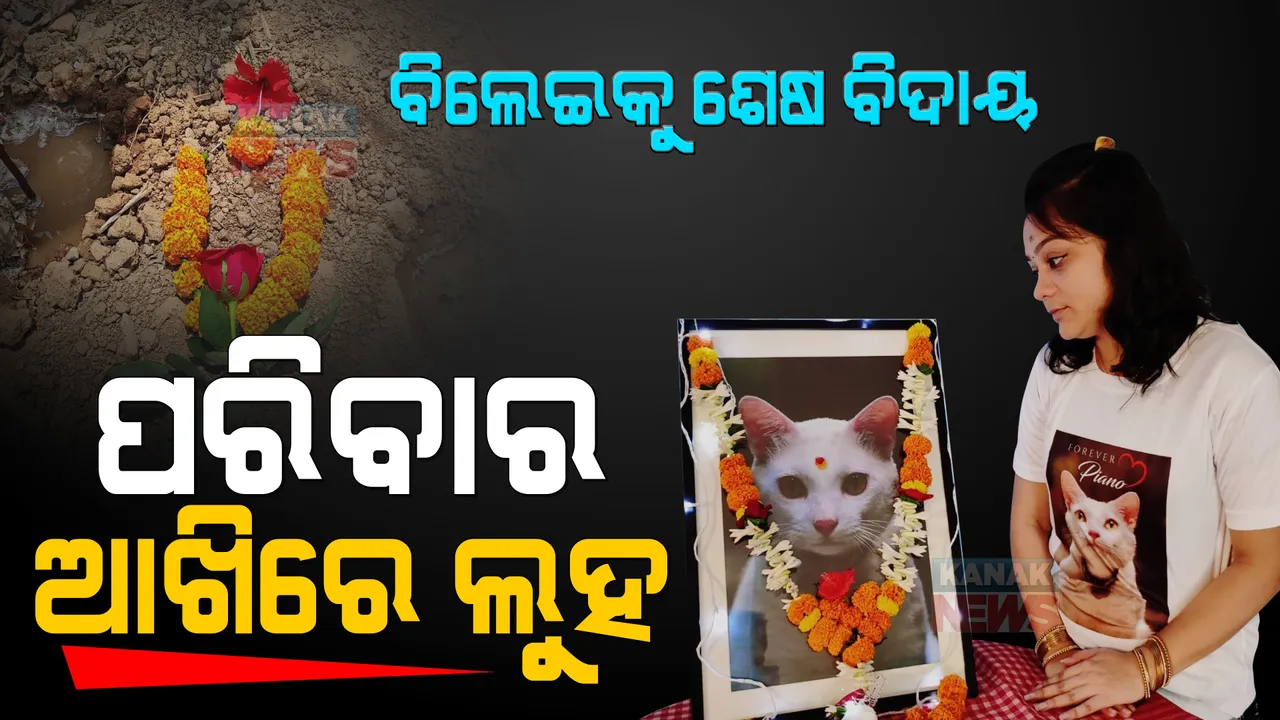  ମଣିଷ ପରି ବିଲେଇର ହେଲା ଶେଷ ସଂସ୍କାର । ପୋଷା ବିଲେଇର ଆକସ୍ମିକ ମୃତ୍ୟୁ ପରେ ଘରେ ହେଲା ଏକାଦଶାହ କର୍ମ ।