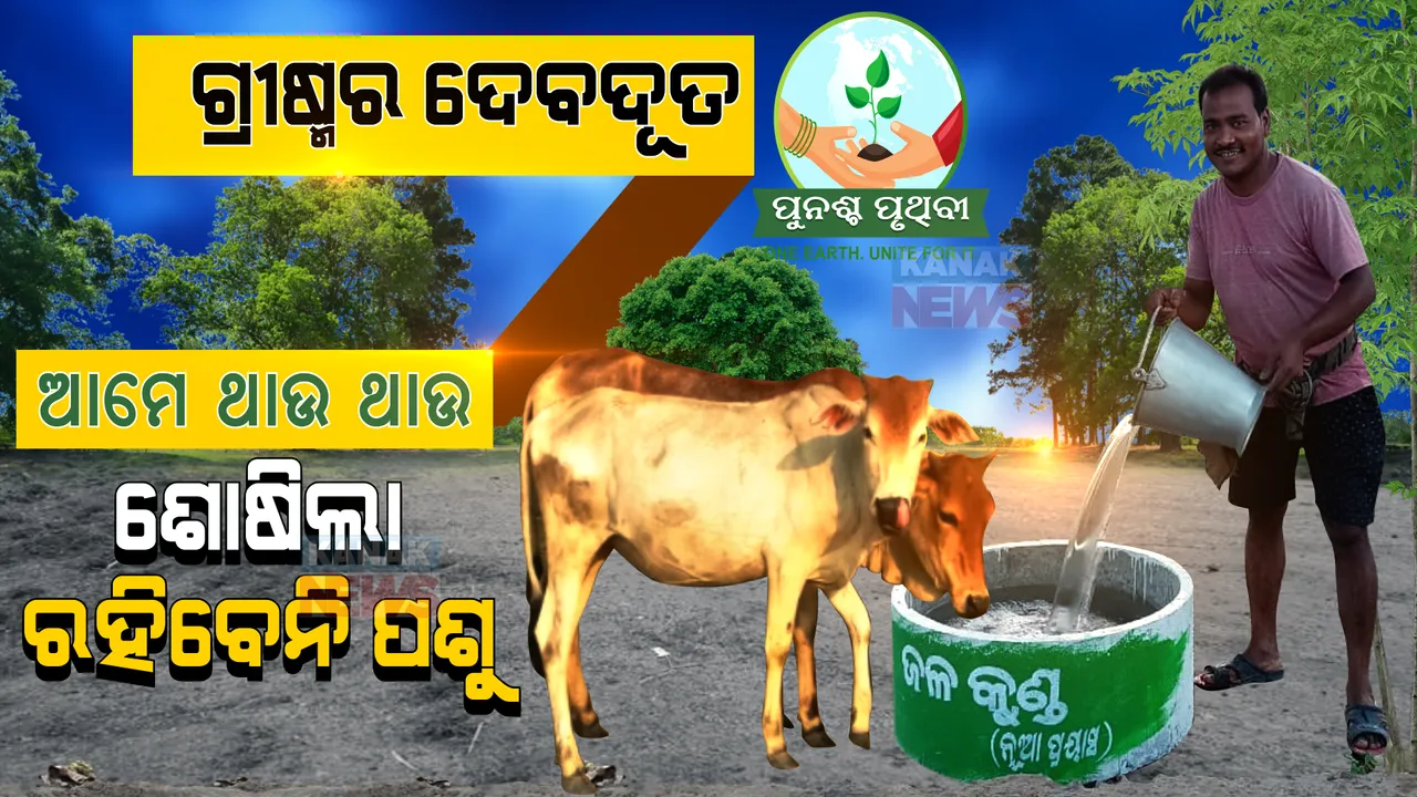  ଏପ୍ରିଲ, ମେ' ମାସର ଡହଡହ ଖରାରେ ଶୋଷିଲା ରହିବେନି ପଶୁ । ଗ୍ରୀଷ୍ମରେ ଗୋରୁଗାଈଙ୍କ ପାଇଁ ଆଗେଇ ଆସିଲା ମଣିଷ ।