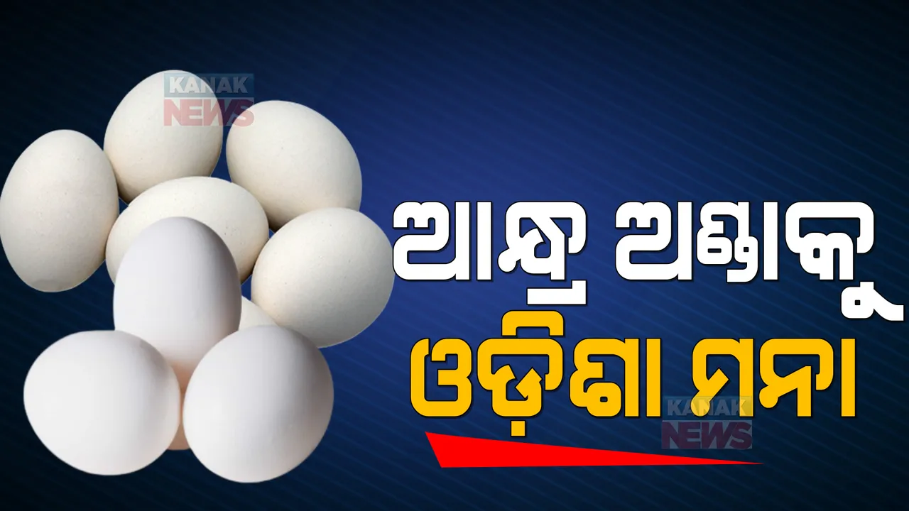  ବଜାରରେ ଉଚ୍ଚ ଦରରେ ବିକ୍ରି ହେଉଥିଲେ ବି ଅଣ୍ଡା ପାଇଁ ଓଡିଶା ଚାଷୀଙ୍କୁ ମିଳୁଛି କମ୍ ମୂଲ୍ୟ । ଆନ୍ଧ୍ର ସରକାରଙ୍କ ପ୍ରଭାବ ଅଭିଯୋଗ କରି ଆନ୍ଧ୍ରର ଅଣ୍ଡା ଟ୍ରକକୁ ଅଟକାଇଲେ ଓଡିଶା ଚାଷୀ