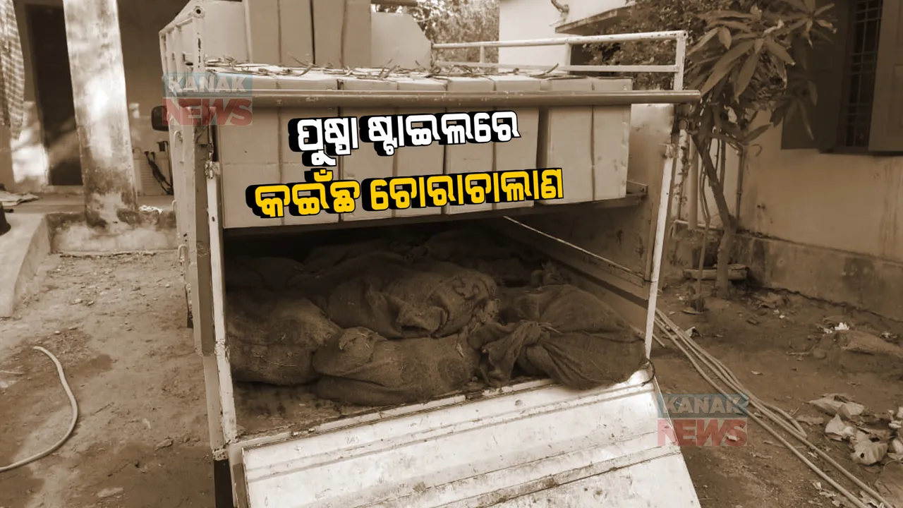  ପୁଷ୍ପା ଷ୍ଟାଇଲରେ କଇଁଛ ଚୋରାଚାଲାଣ