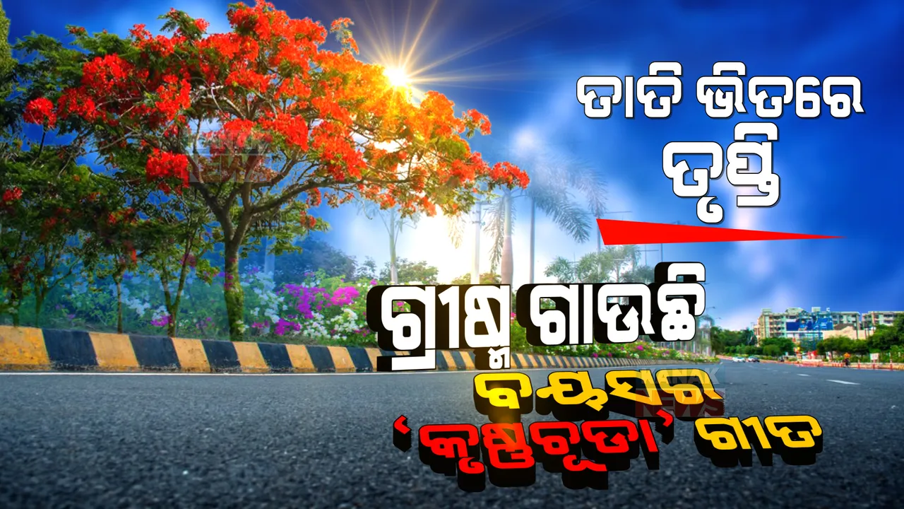  ରାଜଧାନୀ ଛାତିରେ ଫୁଲ ଲେଖୁଛି ପ୍ରେମର ଚିଠି । ଖରାକୁ ଖାତିର ନକରି ବ୍ୟସ୍ତ ମଣିଷକୁ ବାଣ୍ଟି ଚାଲିଛି ପ୍ରୀତିର ହସ । ପଢନ୍ତୁ ଫୁଲେଇ ଫୁଲର କାହାଣୀ...