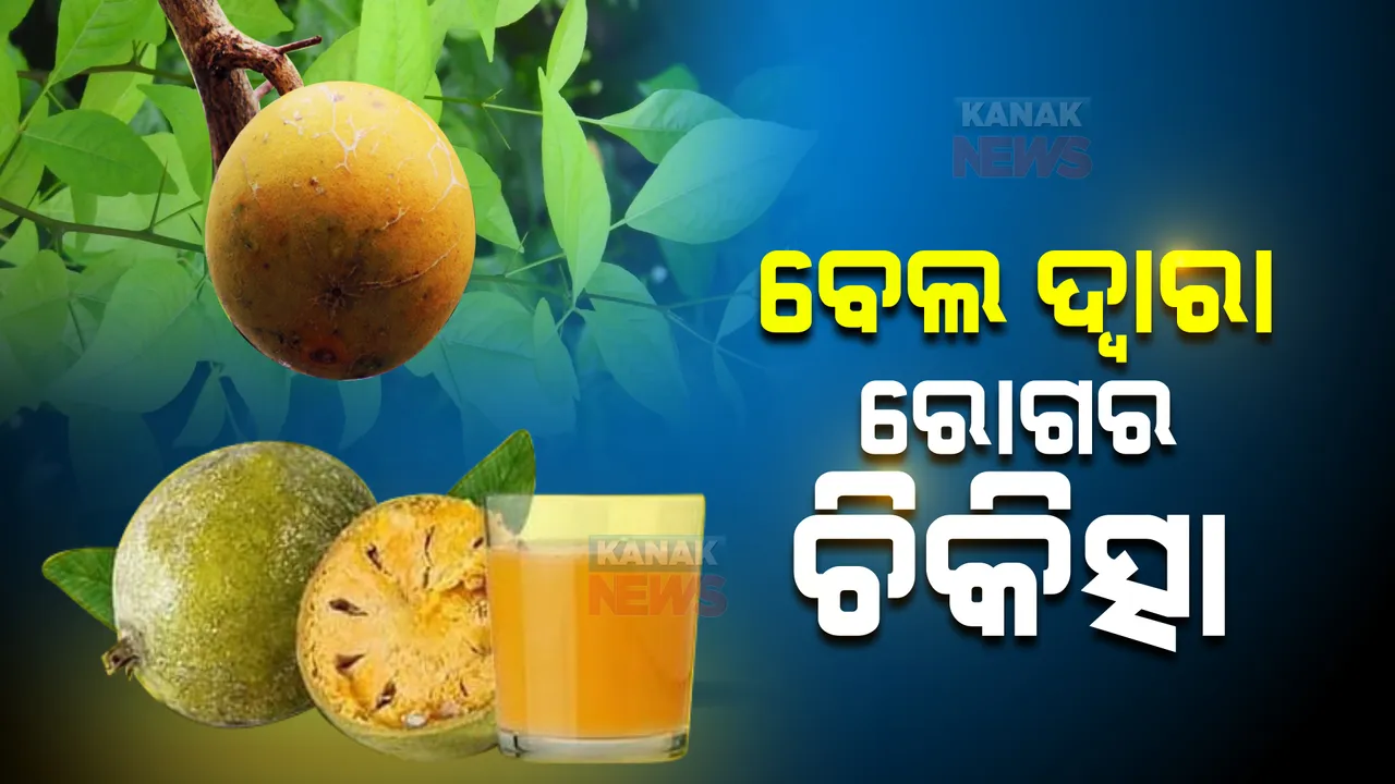  ବେଲ ଦ୍ୱାରା ରୋଗର ଚିକିତ୍ସା । ଏହାର ସବୁ ଉପାଦନରେ ରହିଛି ମହୌଷଧି