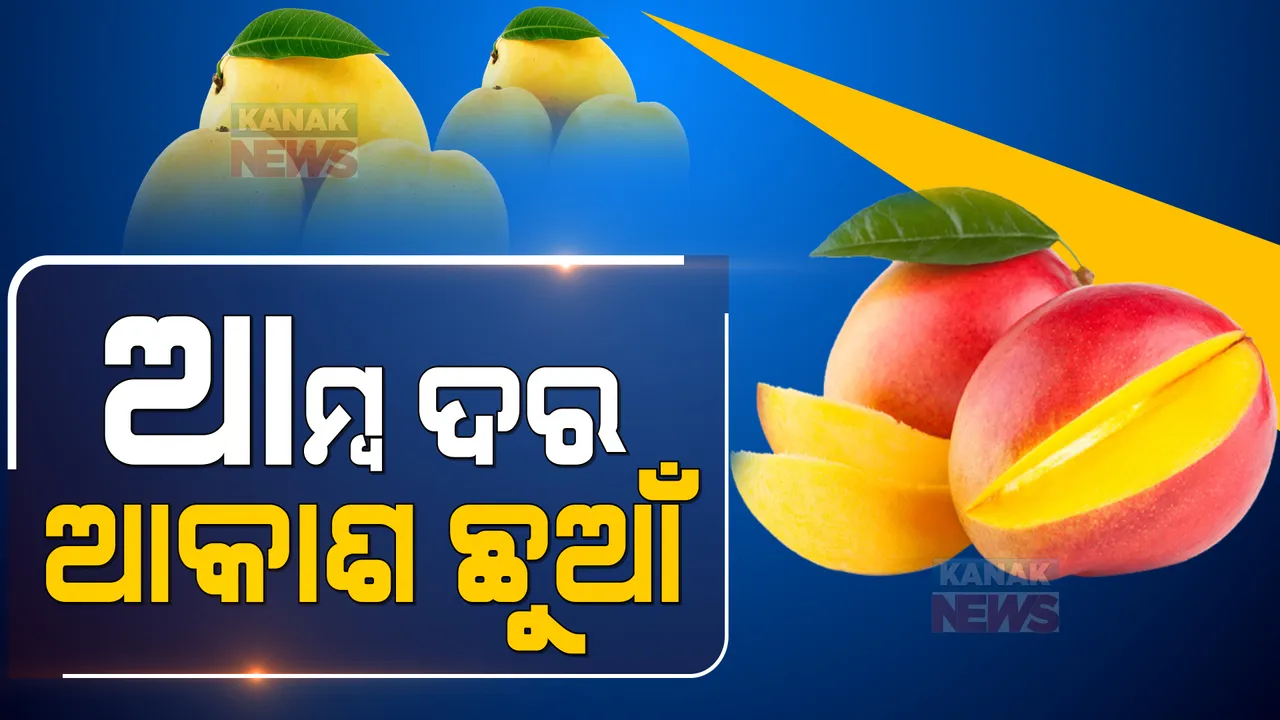  ଲେମ୍ବୁ ପରେ ଏବେ ଆମ୍ବ ଦର ଆକାଶ ଛୁଆଁ: କିଲୋ ପ୍ରତି ୧୦୦ରୁ ୧୮୦ ଟଙ୍କାରେ ଆମ୍ବ କିଣୁଛନ୍ତି ଗ୍ରାହକ