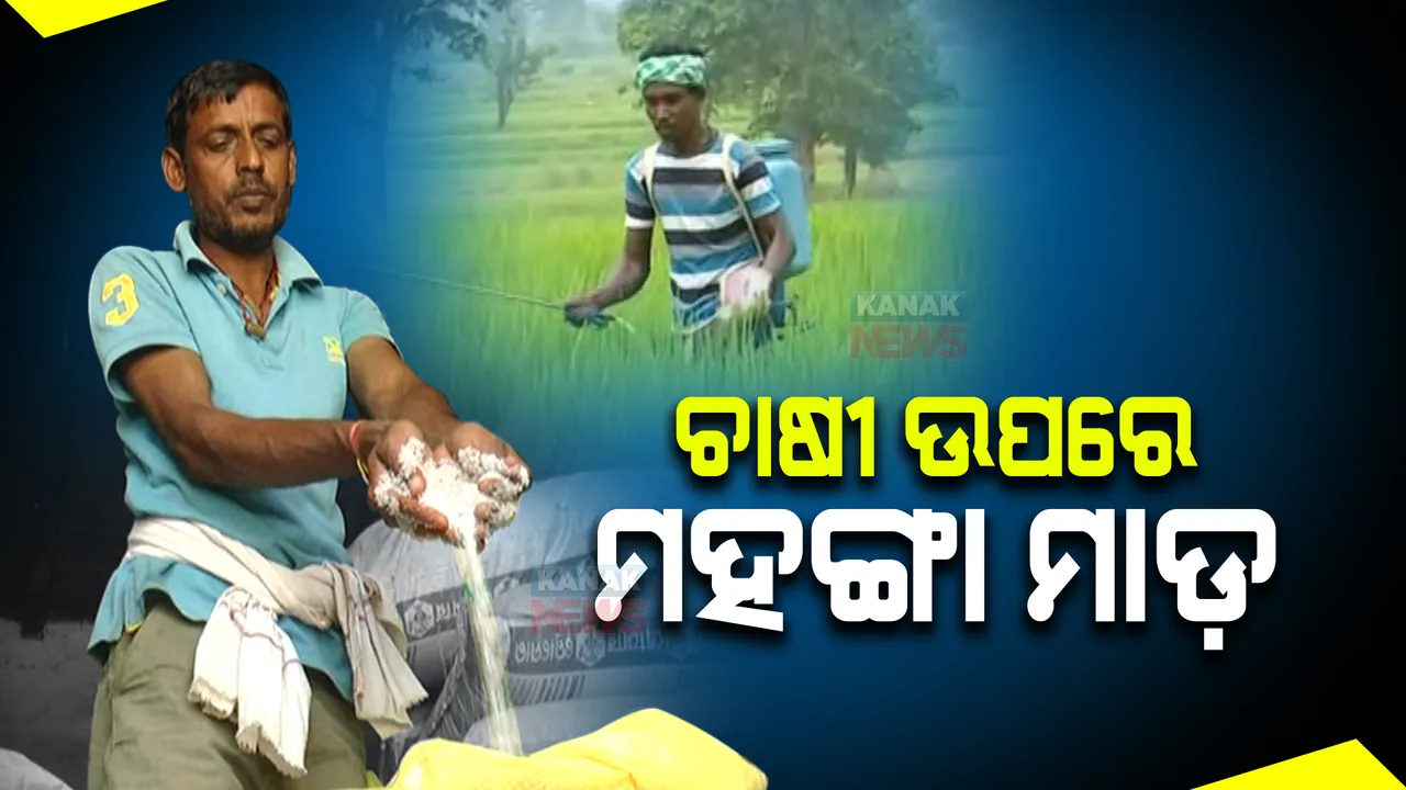  ଚାଷୀ ଉପରେ ମହଙ୍ଗା ମାଡ଼ : ରୁଷ-ୟୁକ୍ରେନ ଯୁଦ୍ଧ ସାଙ୍ଗକୁ ଅନ୍ୟାନ୍ୟ କାରଣରୁ ଅନ୍ତର୍ଜାତୀୟ ବଜାରରେ ବଢ଼ୁଛି ସାର ଦର