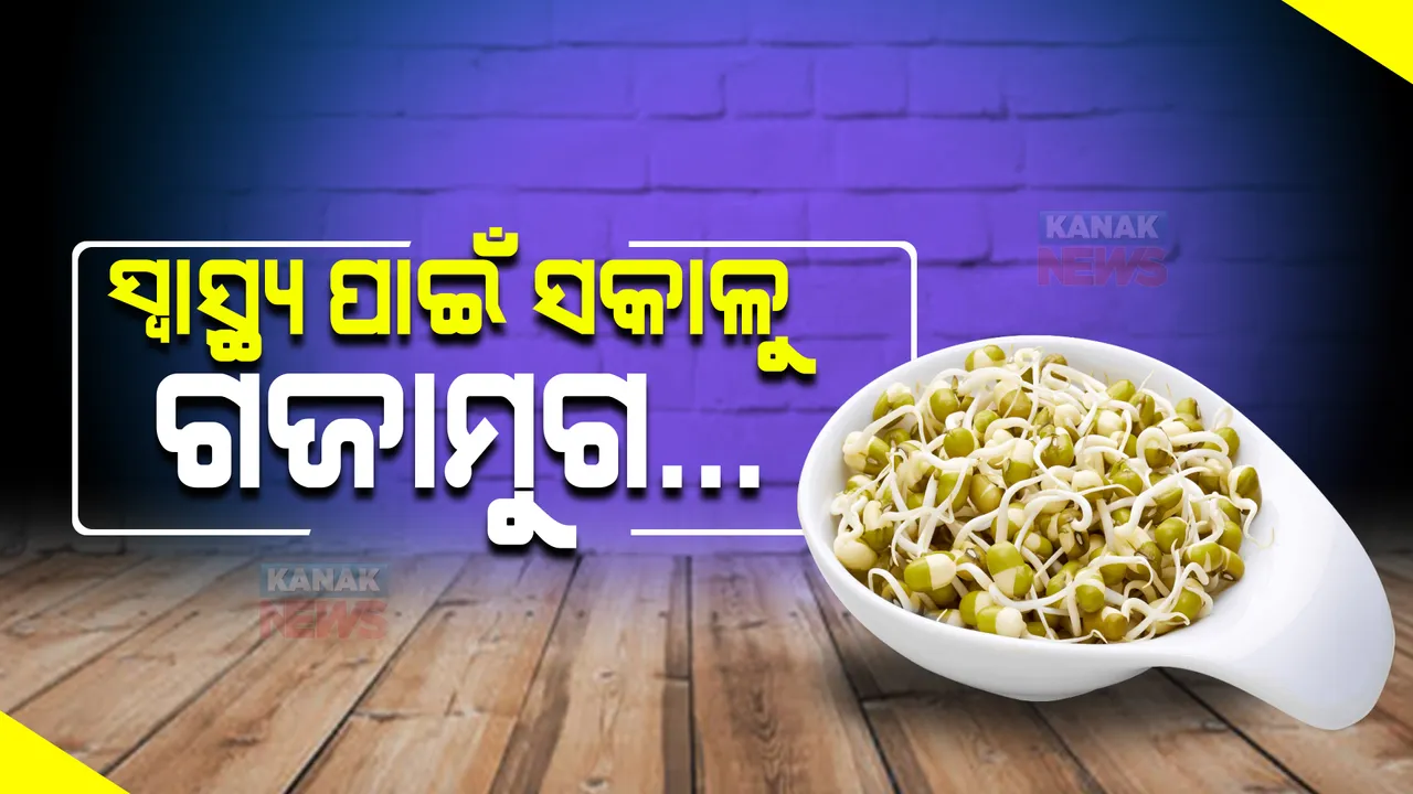  ସକାଳ ଜଳଖିଆ ଭାବେ ଗ୍ରହଣ କରନ୍ତୁ ଗଜାମୁଗ । ସ୍ୱାସ୍ଥ୍ୟପାଇଁ ଏହା ରାମବାଣ