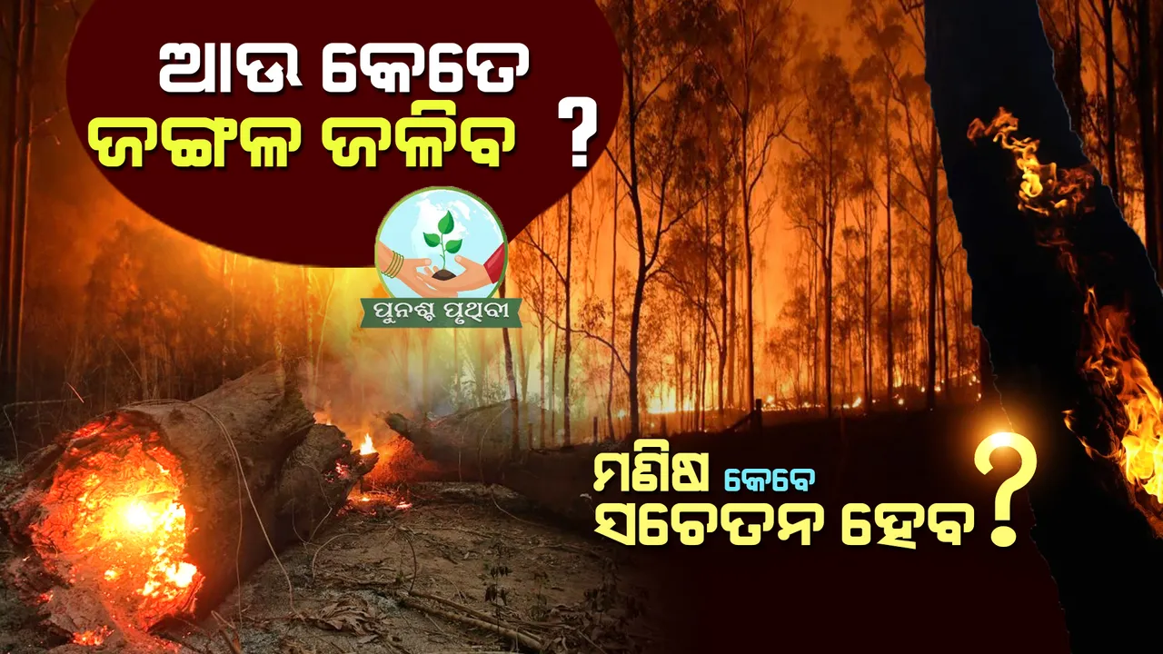  ହୁତୁହୁତୁ ହୋଇ ଜଳିଚାଲିଛି ଜଙ୍ଗଲ । ନିଆଁର ଆଁ ଭିତରେ ଛାରଖାର ଦେବଗିରିର ସବୁଜିମା । କିଏ ଲଗାଉଛି ନିଆଁ ?