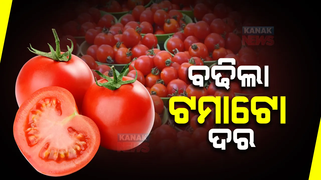 ବଢିଲା ଟମାଟୋ ଦର । ଭୁବନେଶ୍ୱର ଓ କଟକ ସମେତ କିଛି ସ୍ଥାନରେ ଟମାଟୋ ଦର କିଲୋ ପ୍ରତି ୭୦ରୁ ୮୦ ଟଙ୍କା ।