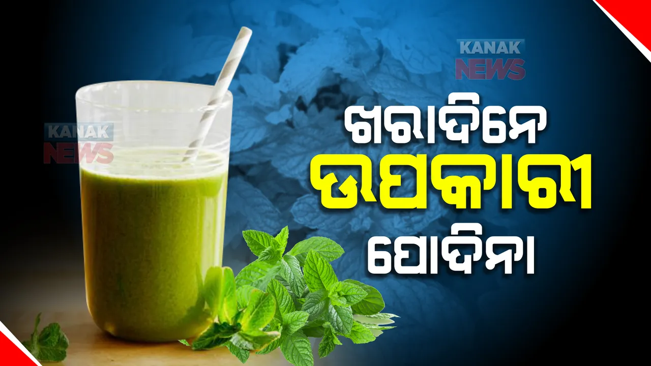  ଖରାଦିନରେ ଘର ବଇଦ ପୋଦିନା । ଶରୀର ପାଇଁ ଭାରୀ ଉପକାରୀ