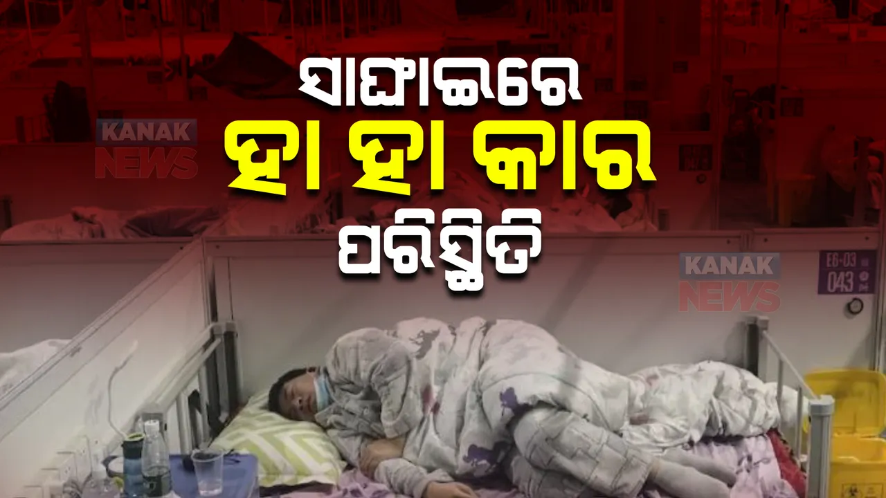  ସାଙ୍ଘାଇରେ ହା ହା କାର ପରିସ୍ଥିତି ।  ଲୋକଙ୍କୁ ରାସ୍ତାରେ ଜଗି ରହିଛି ରୋବଟ କୁକୁର