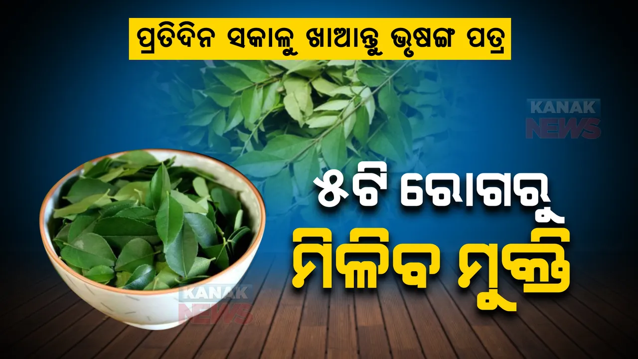  ପ୍ରତିଦିନ ସକାଳୁ ଖାଆନ୍ତୁ ଭୃଷଙ୍ଗ ପତ୍ର ,୫ଟି ରୋଗରୁ ମିଳିବ ମୁକ୍ତି । ଜାଣନ୍ତୁ କିପରି କରିବେ ସେବନ