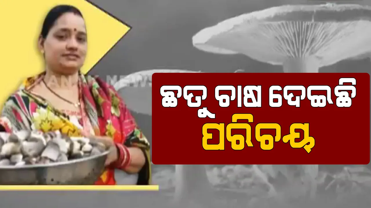  ଛତୁ ଚାଷ କରି ସ୍ୱାବଲମ୍ବୀ । ବାର୍ଷିକ ଲକ୍ଷାଧିକ ଟଙ୍କା ରୋଜଗାର କରି ପାଲଟିଛନ୍ତି ପ୍ରେରଣା । ମିଶନଶକ୍ତି ମହିଳାଙ୍କୁ ପ୍ରଶିକ୍ଷଣ ଦେଉଛନ୍ତି ସସ୍ମିତା ।
