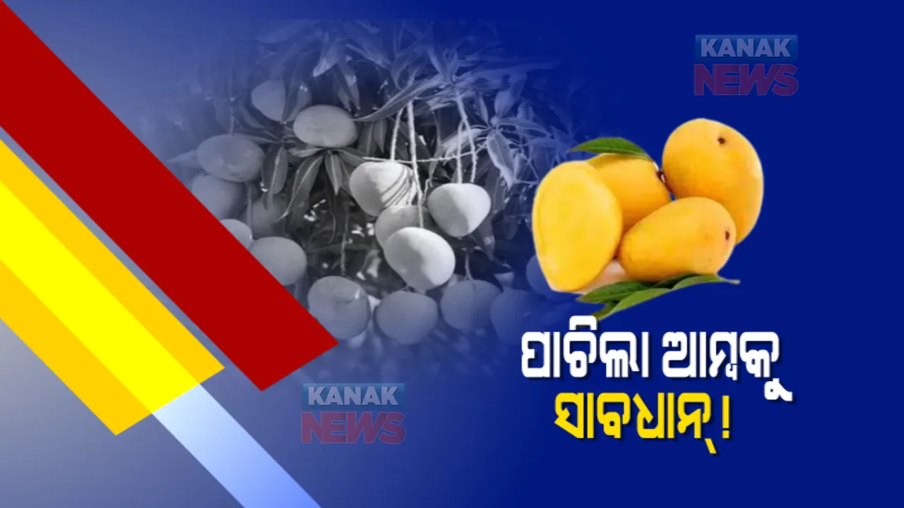  ପାଚିଲା ଆମ୍ବକୁ ସାବଧାନ୍ !