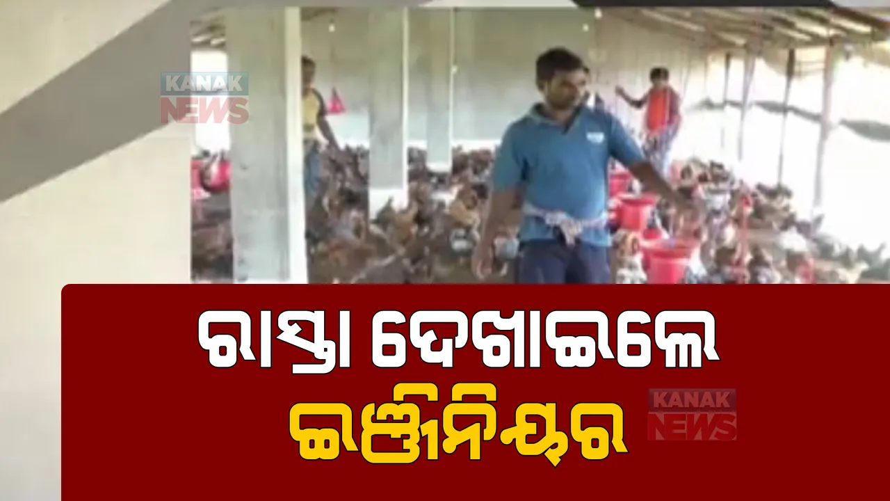  ଯୁବ ଇଂଜିନିୟରଙ୍କ କମାଲ । ମାଛ, କୁକୁଡ଼ା ଓ ଗାଇ ଚାଷ କରି ଲାଭବାନ । ୧୬ଟି ପୋଖରୀରେ ହୋଇଛି ରୋହି, ଭାକୁର, ଚିଙ୍ଗୁଡି ଚାଷ ।