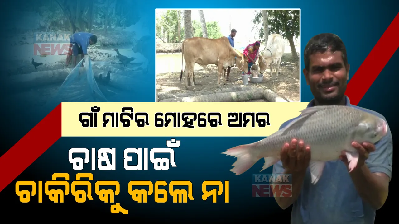  ଗାଁ ମାଟିର ମୋହରେ ଛାଡିଲେ ଦାମୀ ଚାକିରି । ଇଞ୍ଜିନିୟରରୁ ଚାଷୀ ପାଲଟିଗଲେ ଅମର