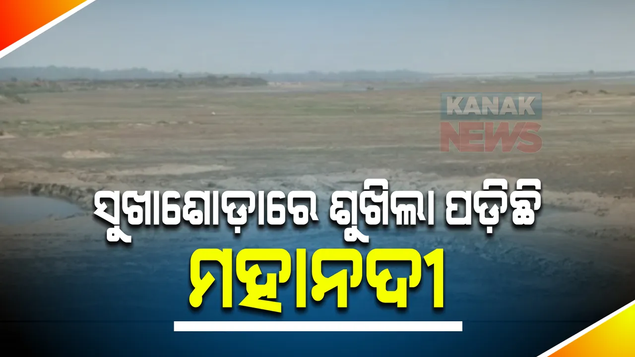  ମହାନଦୀକୁ ନେଇ ଛତିଶଗଡ଼ର ମନମାନି ପରେ ସଙ୍କଟରେ ଓଡ଼ିଶାର ବଡ଼ନଦୀ । କଲମା ବ୍ୟାରେଜରେ ସମସ୍ତ ଗେଟ୍ ବନ୍ଦ କରି ଅଟକାଇଛି ମହାନଦୀର ସ୍ରୋତ