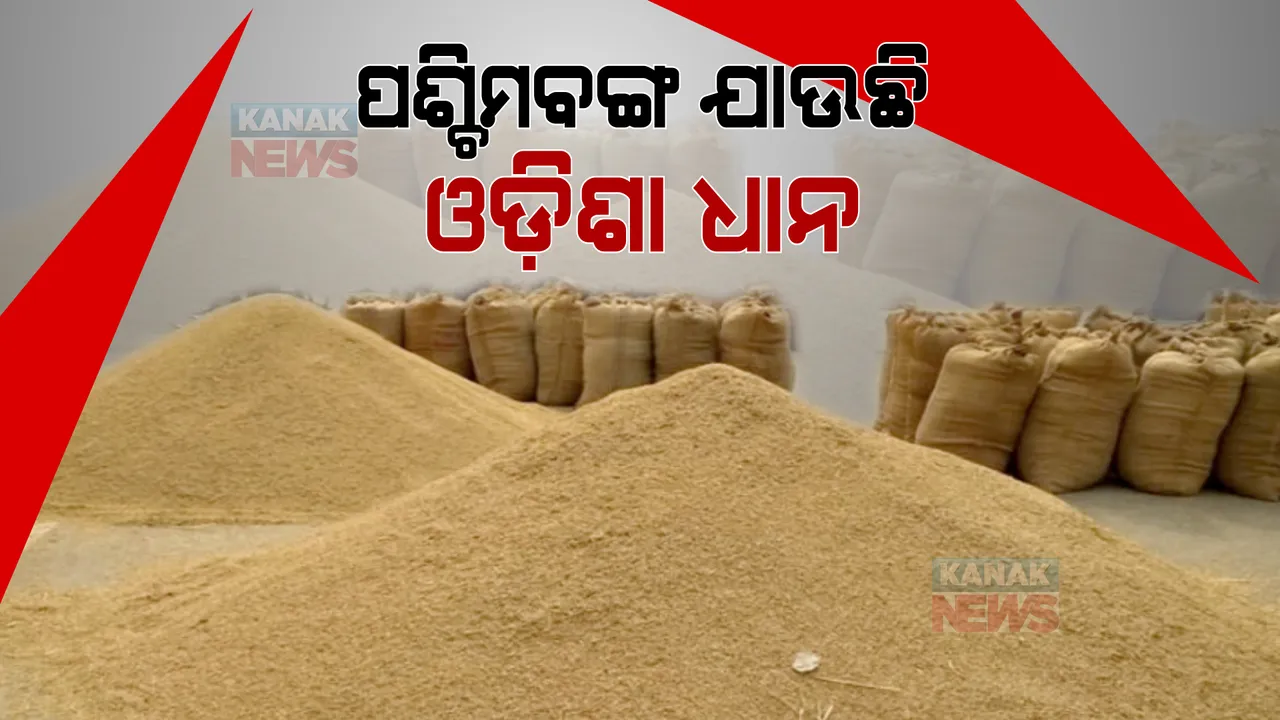  ରବି ଧାନ କିଣିବା ପାଇଁ ଖୋଲିଲା ନାହିଁ ମଣ୍ଡି: ପ୍ରଶାସନିକ ଅବହେଳାର ଫାଇଦା ଉଠାଇ ଶସ୍ତାରେ ଧାନ କିଣି ନେଉଛନ୍ତି ପଶ୍ଚିମବଙ୍ଗ ଦଲାଲ