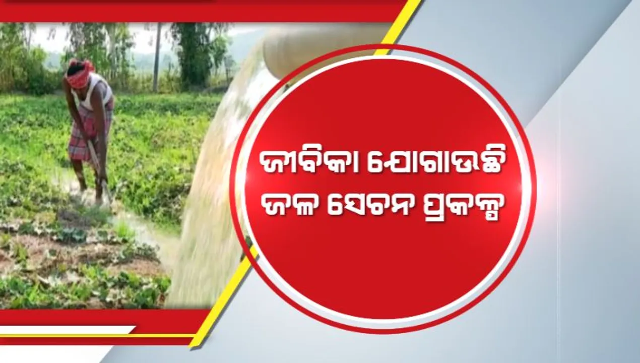  ଜୀବିକା ଯୋଗାଉଛି ଜଳସେଚନ ପ୍ରକଳ୍ପ । ଉପକୃତ ହେଉଛନ୍ତି ଚାଷୀ । ୧୫ଟି ପରିବାରଙ୍କ ମୁହଁରେ ଫୁଟିପାରିଛି ହସ ।