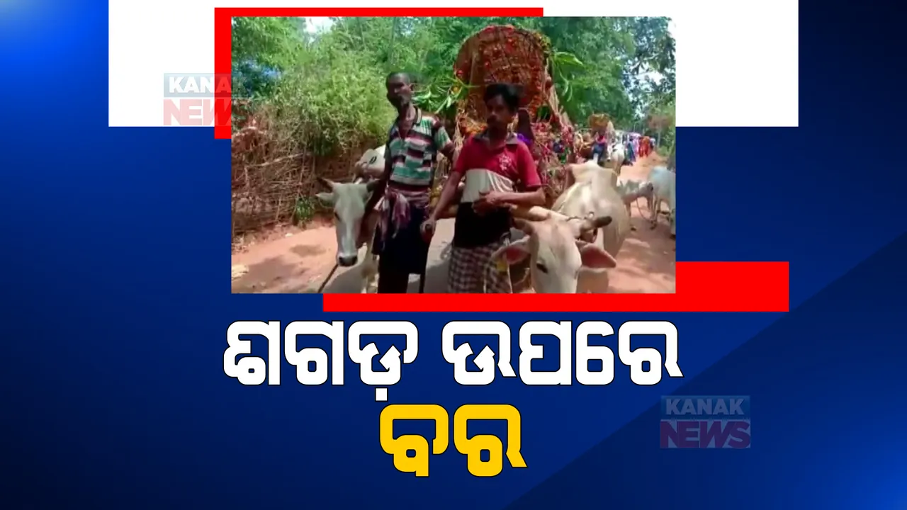  ଶଗଡ ଚଢି କନିଆଁ ଘରକୁ ଗଲା ବର: ପରିବେଶ ସୁରକ୍ଷା ବାର୍ତା ଦେଇ ଶଗଡରେ ଶ୍ୱଶୁର ଘର ଗଲେ ଆଦିବାସୀ ଯୁବକ