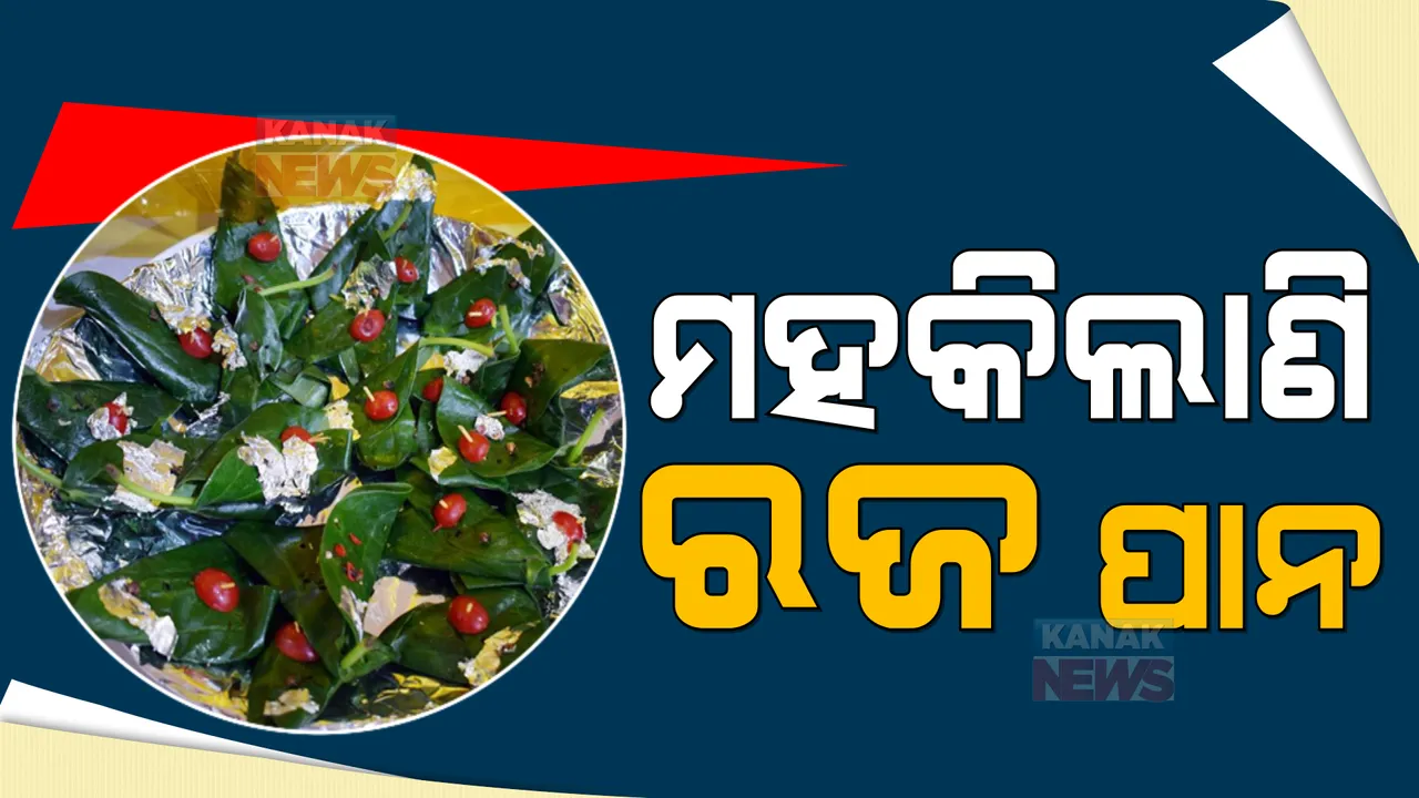 ଆସୁଛି ରଜ, ରାଜଧାନୀରେ ବଢୁଛି ପାନର ଚାହିଦା । ଚର୍ଚ୍ଚାରେ ଚାନ୍ଦି ପାନ, ଗୋଟାକୁ ୨ଶହ ଟଙ୍କା