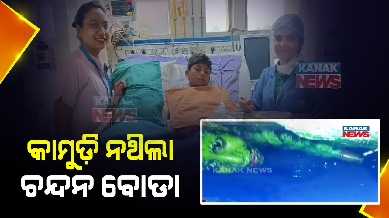  ରାହୁଲକୁ କାମୁଡ଼ି ନଥିଲା ଚନ୍ଦନ ବୋଡ଼ା