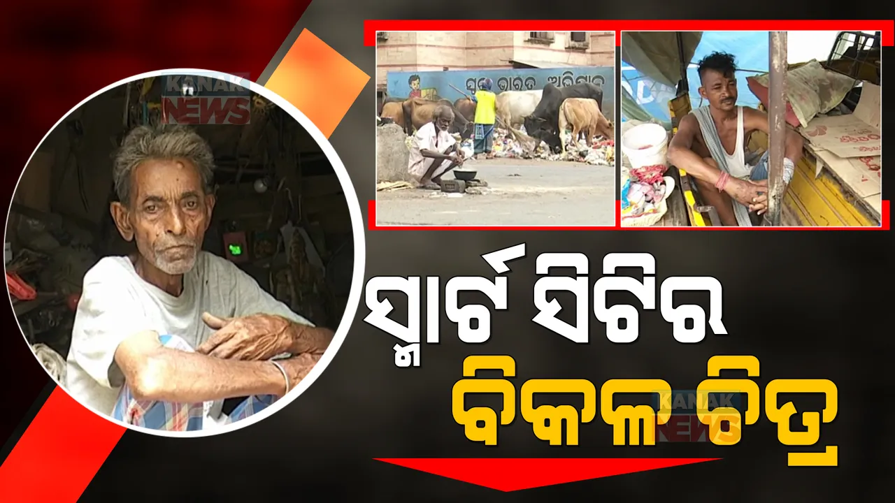  ସହରର ଚାକଚକ୍ୟ ଭିତରେ ବାରି ହୋଇପଡୁଛି ଜୀବନର ବିକଳ ଚିତ୍ର । ଧୁଡୁ ଧୁଡୁ ଦେହରେ ପରିଶ୍ରମ କରି ଗଡିଚାଲି ଜୀବନର ଗାଡି ।