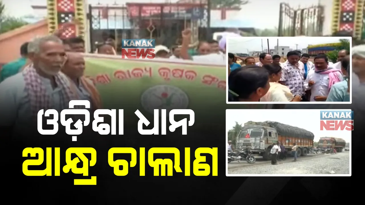  ଆନ୍ଧ୍ରକୁ ଚାଲାଣ ହେଉଛି ଓଡ଼ିଶା ଧାନ : ଦଲାଲ ସାହାଯ୍ୟରେ ଇଡଲି ଓ ଚକୁଳି ପାଇଁ ଉତ୍କୃଷ୍ଟ ଆକାଶ ଗଙ୍ଗା ଧାନ ନେଇଯାଉଛି ଆନ୍ଧ୍ର