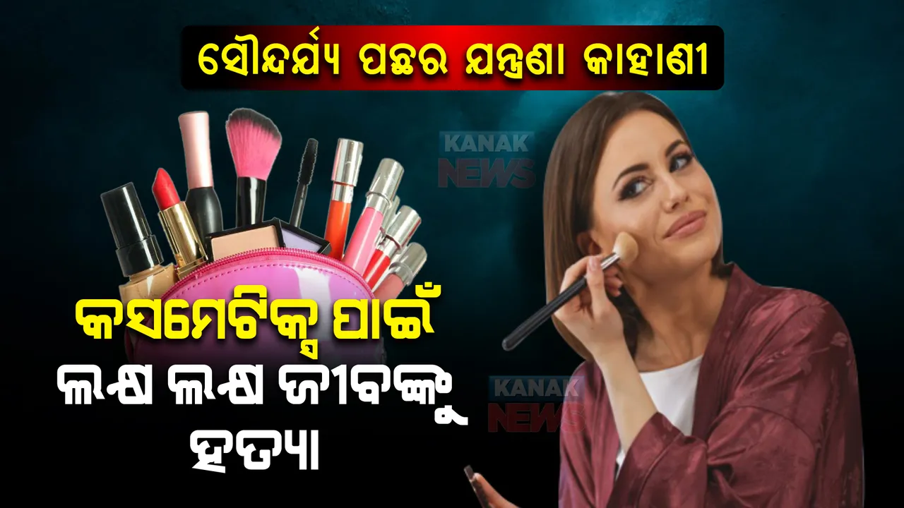  ସୌନ୍ଦର୍ଯ୍ୟ ପଛର ଯନ୍ତ୍ରଣା କାହାଣୀ । କସମେଟିକ୍ସ ପ୍ରସ୍ତୁତି ପାଇଁ ଲକ୍ଷ ଲକ୍ଷ ଜୀବଙ୍କୁ କରାଯାଉଛି ହତ୍ୟା ।
